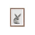 Picture of Button, the Bunny _GroupedProduct_Rectangle_Portrait_Framed_Matted_