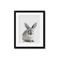 Picture of Button, the Bunny _GroupedProduct_Rectangle_Portrait_Framed_Matted_
