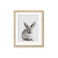 Picture of Button, the Bunny _GroupedProduct_Rectangle_Portrait_Framed_Matted_