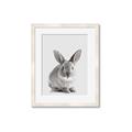 Picture of Button, the Bunny _GroupedProduct_Rectangle_Portrait_Framed_Matted_