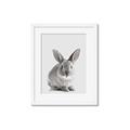 Picture of Button, the Bunny _GroupedProduct_Rectangle_Portrait_Framed_Matted_