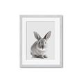Picture of Button, the Bunny _GroupedProduct_Rectangle_Portrait_Framed_Matted_