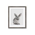 Picture of Button, the Bunny _GroupedProduct_Rectangle_Portrait_Framed_Matted_