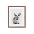Picture of Button, the Bunny _GroupedProduct_Rectangle_Portrait_Framed_Matted_