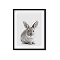 Picture of Button, the Bunny _GroupedProduct_Rectangle_Portrait_Framed_Matted_