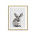 Picture of Button, the Bunny _GroupedProduct_Rectangle_Portrait_Framed_Matted_