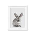 Picture of Button, the Bunny _GroupedProduct_Rectangle_Portrait_Framed_Matted_