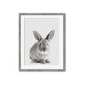 Picture of Button, the Bunny _GroupedProduct_Rectangle_Portrait_Framed_Matted_