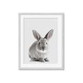 Picture of Button, the Bunny _GroupedProduct_Rectangle_Portrait_Framed_Matted_
