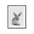 Picture of Button, the Bunny _GroupedProduct_Rectangle_Portrait_Framed_Matted_