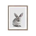 Picture of Button, the Bunny _GroupedProduct_Rectangle_Portrait_Framed_Matted_