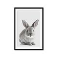 Picture of Button, the Bunny _GroupedProduct_Rectangle_Portrait_Framed_Matted_