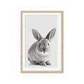 Picture of Button, the Bunny _GroupedProduct_Rectangle_Portrait_Framed_Matted_