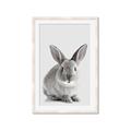 Picture of Button, the Bunny _GroupedProduct_Rectangle_Portrait_Framed_Matted_