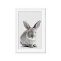 Picture of Button, the Bunny _GroupedProduct_Rectangle_Portrait_Framed_Matted_