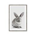 Picture of Button, the Bunny _GroupedProduct_Rectangle_Portrait_Framed_Matted_