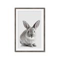 Picture of Button, the Bunny _GroupedProduct_Rectangle_Portrait_Framed_Matted_
