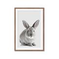 Picture of Button, the Bunny _GroupedProduct_Rectangle_Portrait_Framed_Matted_