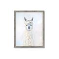 Picture of White Llama _GroupedProduct_Rectangle_Portrait_Framed_Matted_