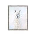 Picture of White Llama _GroupedProduct_Rectangle_Portrait_Framed_Matted_
