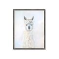 Picture of White Llama _GroupedProduct_Rectangle_Portrait_Framed_Matted_