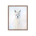 Picture of White Llama _GroupedProduct_Rectangle_Portrait_Framed_Matted_