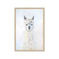 Picture of White Llama _GroupedProduct_Rectangle_Portrait_Framed_Matted_