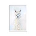 Picture of White Llama _GroupedProduct_Rectangle_Portrait_Framed_Matted_