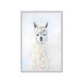 Picture of White Llama _GroupedProduct_Rectangle_Portrait_Framed_Matted_