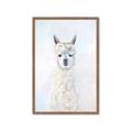 Picture of White Llama _GroupedProduct_Rectangle_Portrait_Framed_Matted_