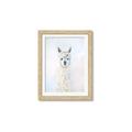 Picture of White Llama _GroupedProduct_Rectangle_Portrait_Framed_Matted_