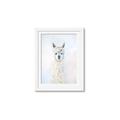 Picture of White Llama _GroupedProduct_Rectangle_Portrait_Framed_Matted_