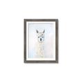 Picture of White Llama _GroupedProduct_Rectangle_Portrait_Framed_Matted_