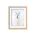 Picture of White Llama _GroupedProduct_Rectangle_Portrait_Framed_Matted_