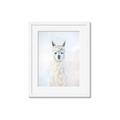Picture of White Llama _GroupedProduct_Rectangle_Portrait_Framed_Matted_