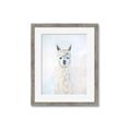 Picture of White Llama _GroupedProduct_Rectangle_Portrait_Framed_Matted_