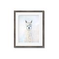 Picture of White Llama _GroupedProduct_Rectangle_Portrait_Framed_Matted_