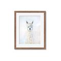 Picture of White Llama _GroupedProduct_Rectangle_Portrait_Framed_Matted_