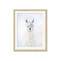 Picture of White Llama _GroupedProduct_Rectangle_Portrait_Framed_Matted_