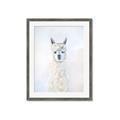 Picture of White Llama _GroupedProduct_Rectangle_Portrait_Framed_Matted_