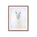 Picture of White Llama _GroupedProduct_Rectangle_Portrait_Framed_Matted_