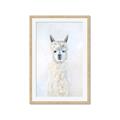 Picture of White Llama _GroupedProduct_Rectangle_Portrait_Framed_Matted_