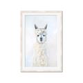 Picture of White Llama _GroupedProduct_Rectangle_Portrait_Framed_Matted_