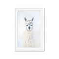 Picture of White Llama _GroupedProduct_Rectangle_Portrait_Framed_Matted_
