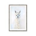 Picture of White Llama _GroupedProduct_Rectangle_Portrait_Framed_Matted_