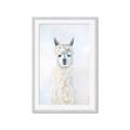 Picture of White Llama _GroupedProduct_Rectangle_Portrait_Framed_Matted_