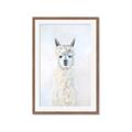 Picture of White Llama _GroupedProduct_Rectangle_Portrait_Framed_Matted_