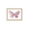 Picture of Pink Butterfly _GroupedProduct_Rectangle_Landscape_Framed_Matted_