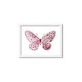 Picture of Pink Butterfly _GroupedProduct_Rectangle_Landscape_Framed_Matted_