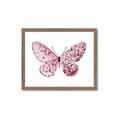 Picture of Pink Butterfly _GroupedProduct_Rectangle_Landscape_Framed_Matted_